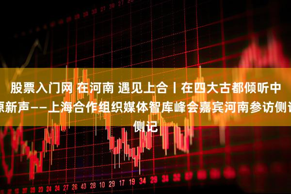 股票入门网 在河南 遇见上合丨在四大古都倾听中原新声——上海合作组织媒体智库峰会嘉宾河南参访侧记