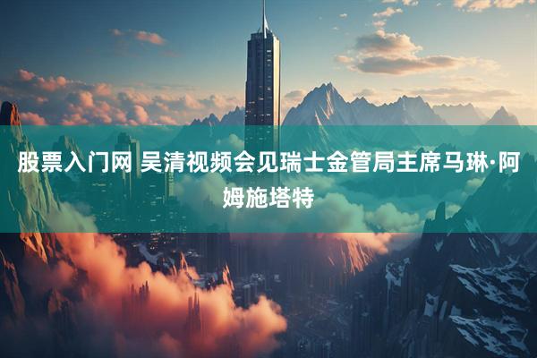 股票入门网 吴清视频会见瑞士金管局主席马琳·阿姆施塔特