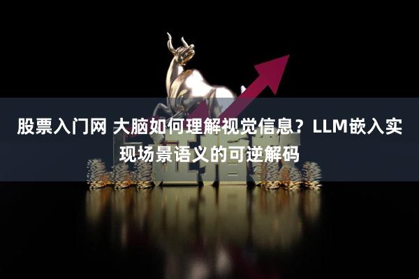 股票入门网 大脑如何理解视觉信息？LLM嵌入实现场景语义的可逆解码