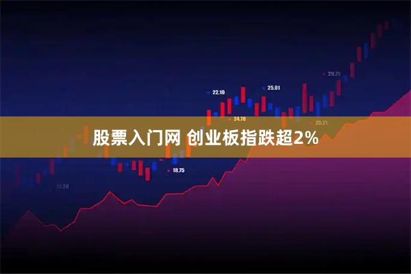 股票入门网 创业板指跌超2%